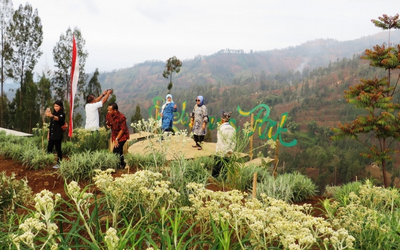 Mengenali Taman Edelweis di Bromo